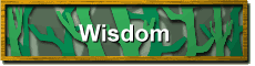 Wisdom